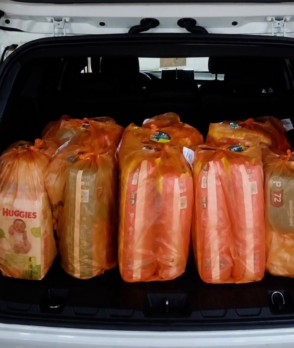 Arrecadação de Fraldas — INCAvoluntário